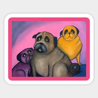 three pugs Sticker